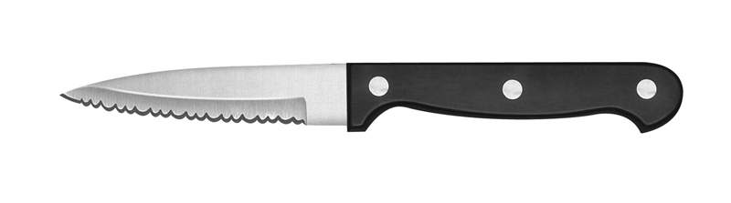 Ginsu Essential Series 3.5" Paring Knife