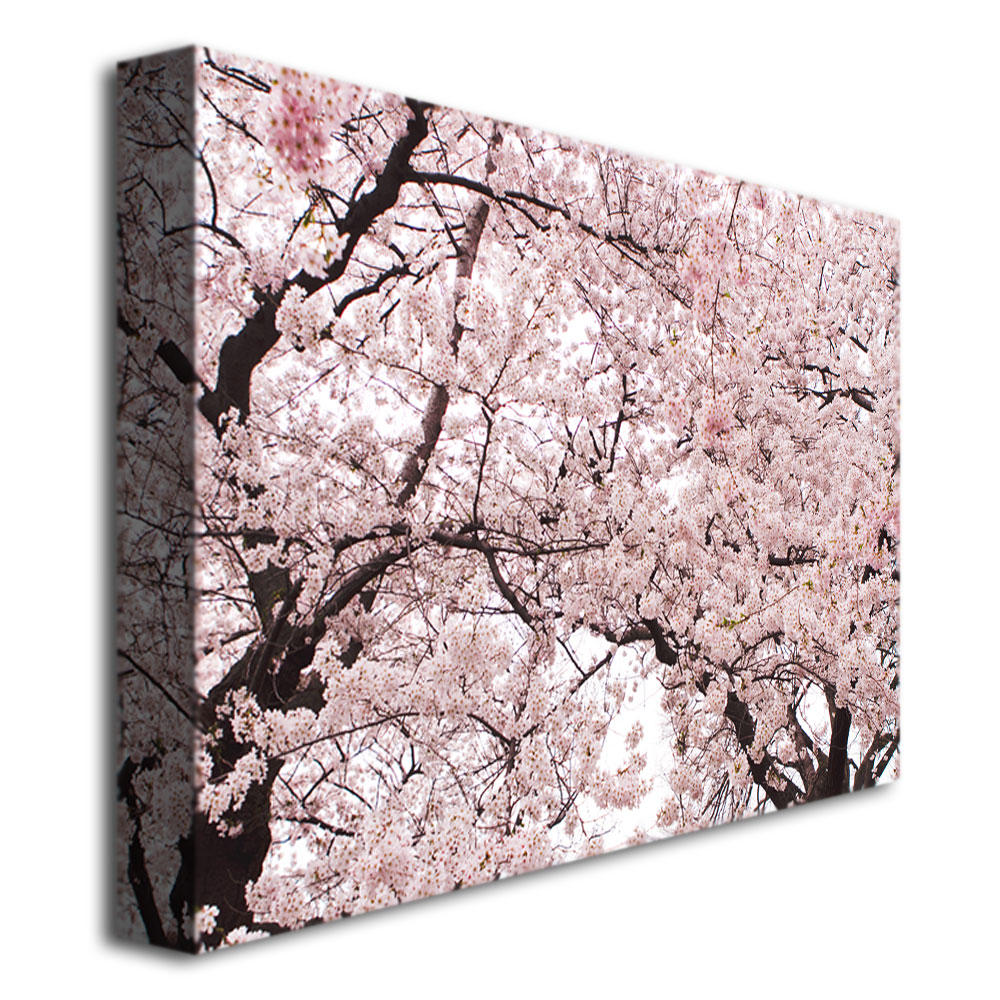 Trademark Global Ariane Moshayedi 'Cherry Blossom Bonanza' Canvas Art