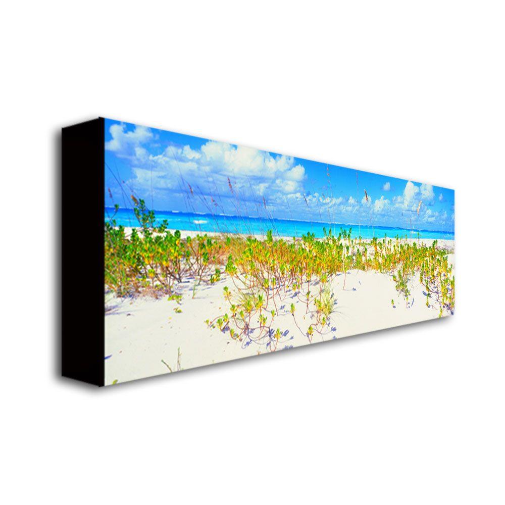 Trademark Global Preston 'Turks Beach' Canvas Art