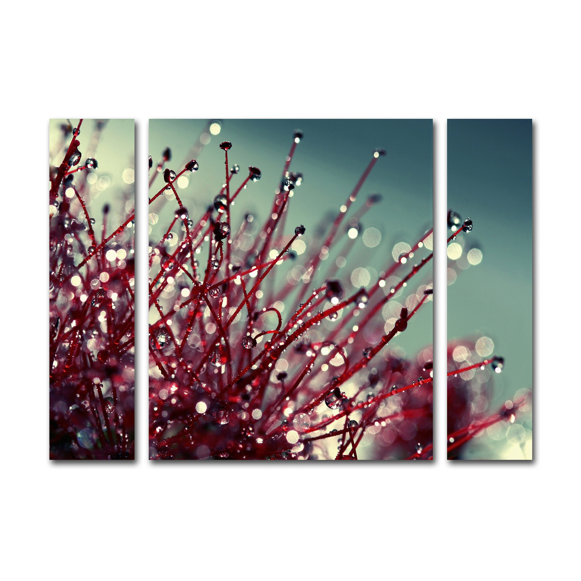 Trademark Global Beata Czyzowska Young ’For You and Me’ Multi Panel Art Set Large Trademark Global Beata Czyzowska Young ’For You and Me’ Multi Panel Art Set Large