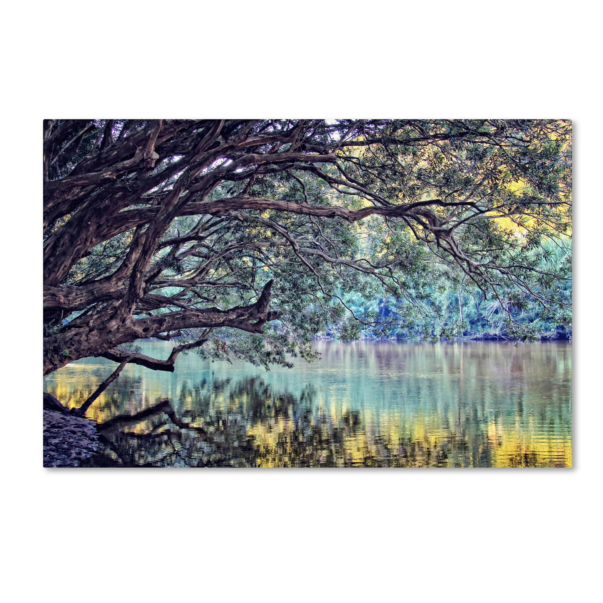 Trademark Global Beata Czyzowska Young ’A Place to Dream’ Canvas Art Trademark Global Beata Czyzowska Young ’A Place to Dream’ Canvas Art