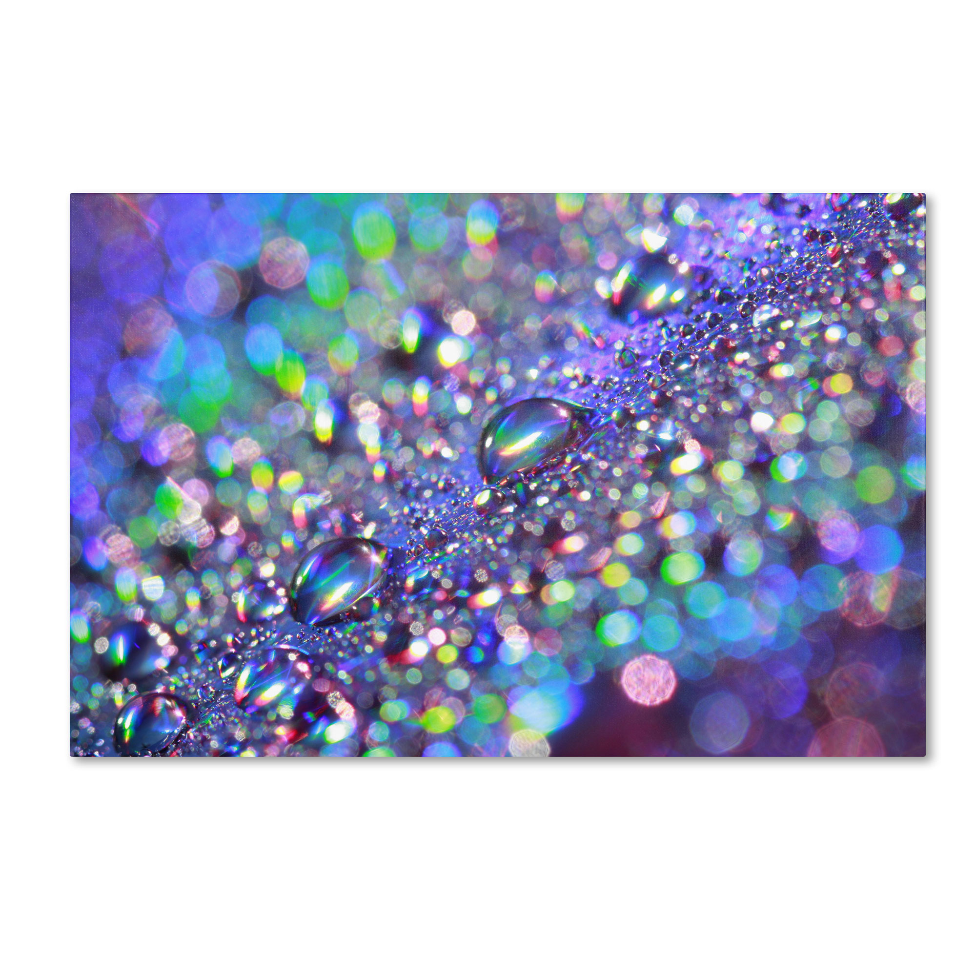 Trademark Global Beata Czyzowska Young ’Colours of Rainbow’ Canvas Art Trademark Global Beata Czyzowska Young ’Colours of Rainbow’ Canvas Art