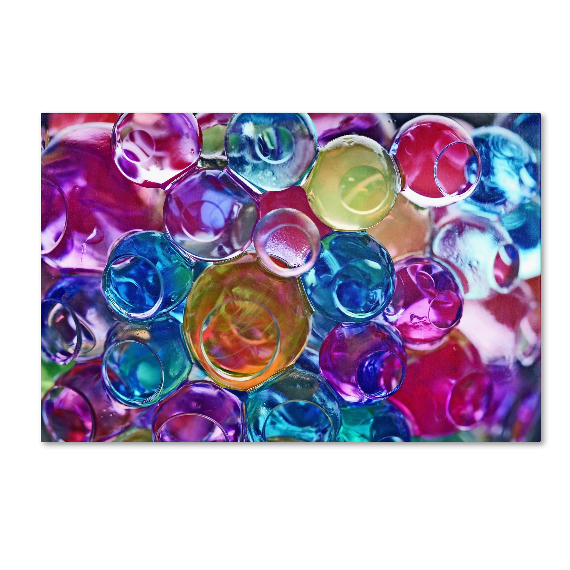 Trademark Global Beata Czyzowska Young ’Dream in Colour’ Canvas Art Trademark Global Beata Czyzowska Young ’Dream in Colour’ Canvas Art