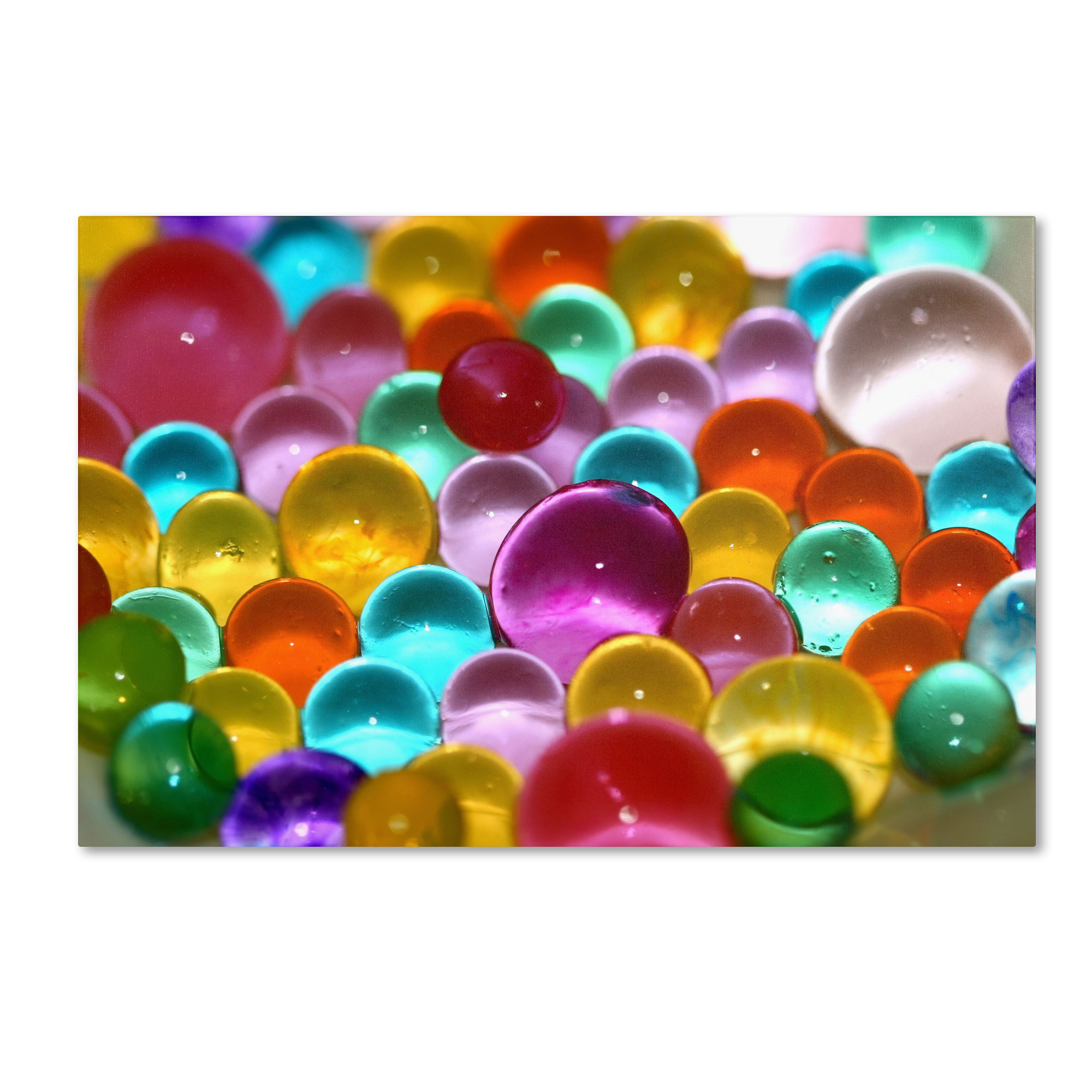 Trademark Global Beata Czyzowska Young ’Festival of Colours’ Canvas Art Trademark Global Beata Czyzowska Young ’Festival of Colours’ Canvas Art