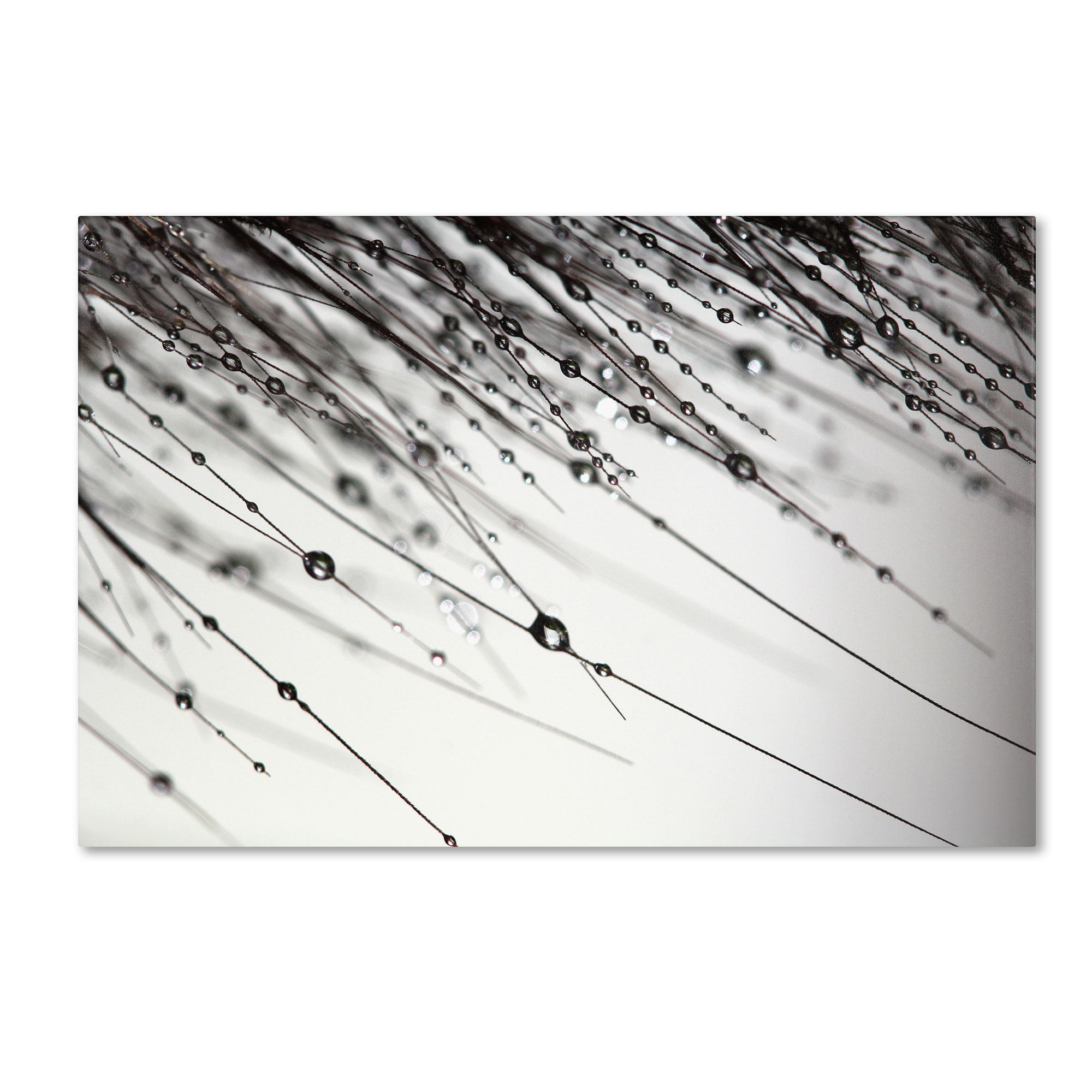 Trademark Global Beata Czyzowska Young ’Her Wishes’ Canvas Art Trademark Global Beata Czyzowska Young ’Her Wishes’ Canvas Art