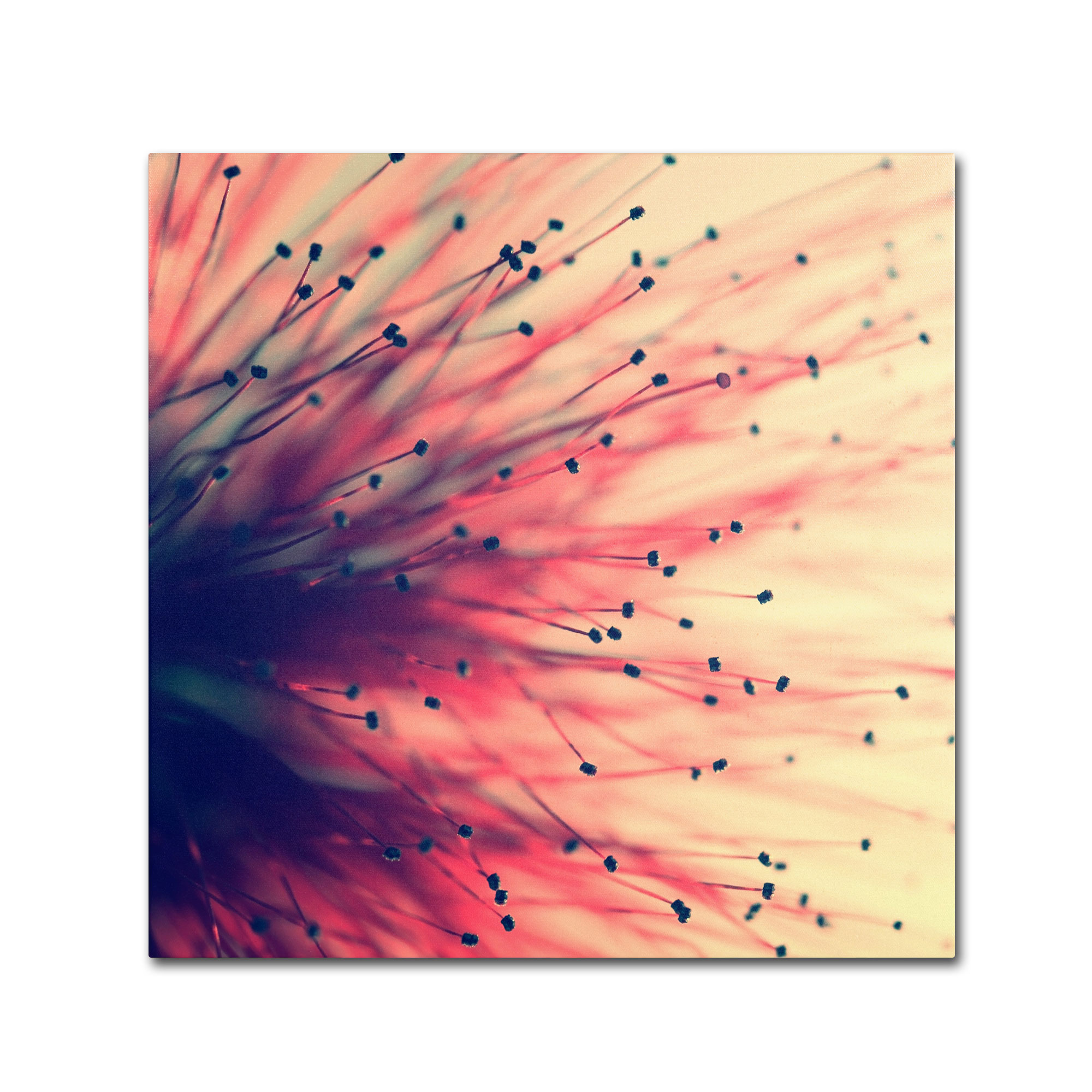 Trademark Global Beata Czyzowska Young ’Into the Future’ Canvas Art Trademark Global Beata Czyzowska Young ’Into the Future’ Canvas Art