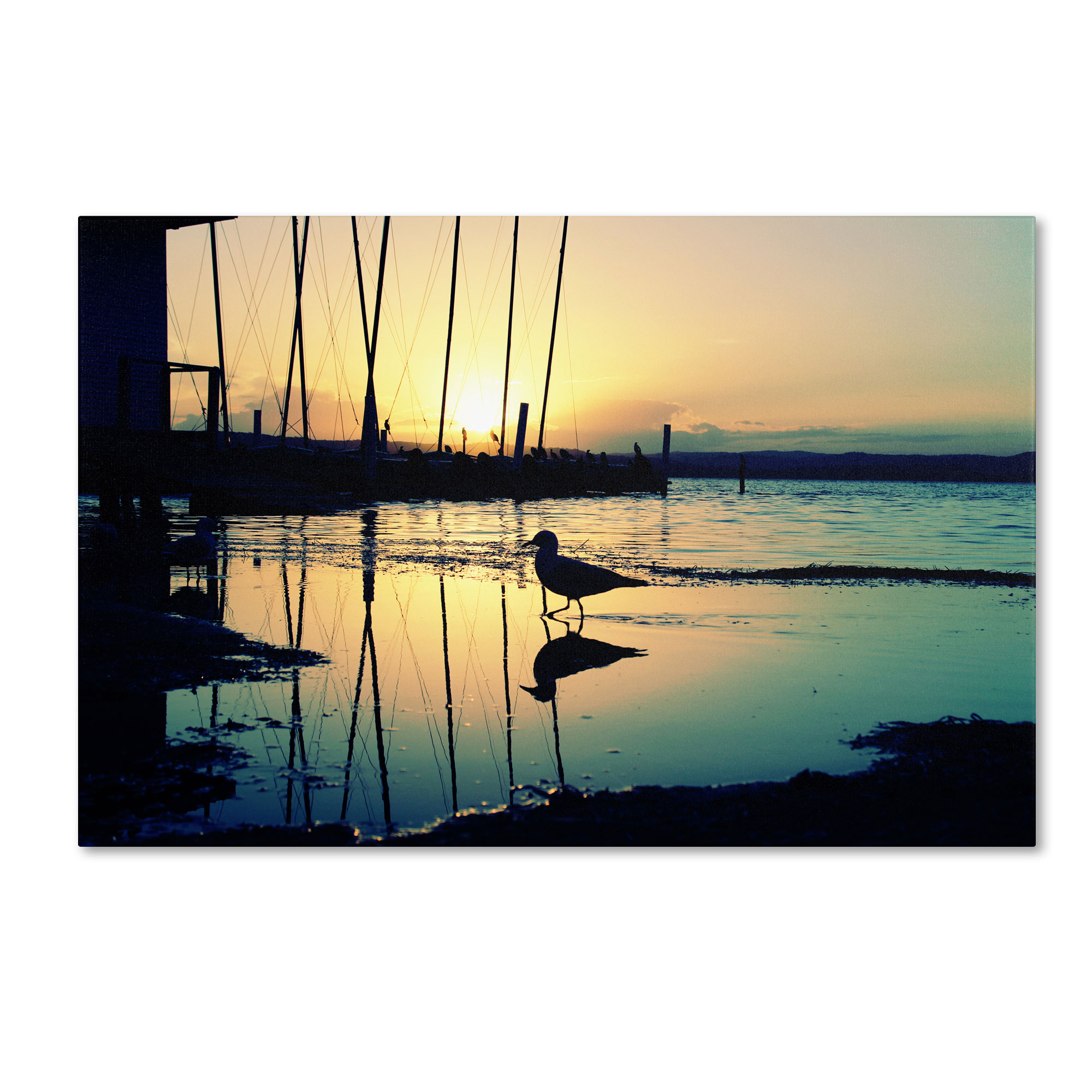 Trademark Global Beata Czyzowska Young ’Lonely at Sunset’ Canvas Art Trademark Global Beata Czyzowska Young ’Lonely at Sunset’ Canvas Art