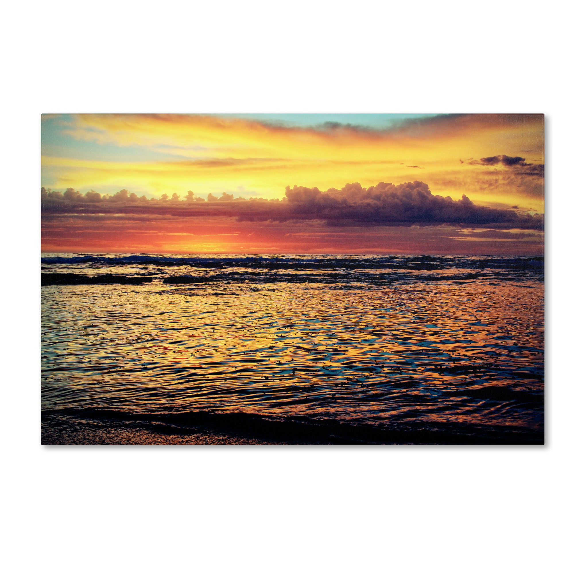 Trademark Global Beata Czyzowska Young ’Morning Glory’ Canvas Art Trademark Global Beata Czyzowska Young ’Morning Glory’ Canvas Art