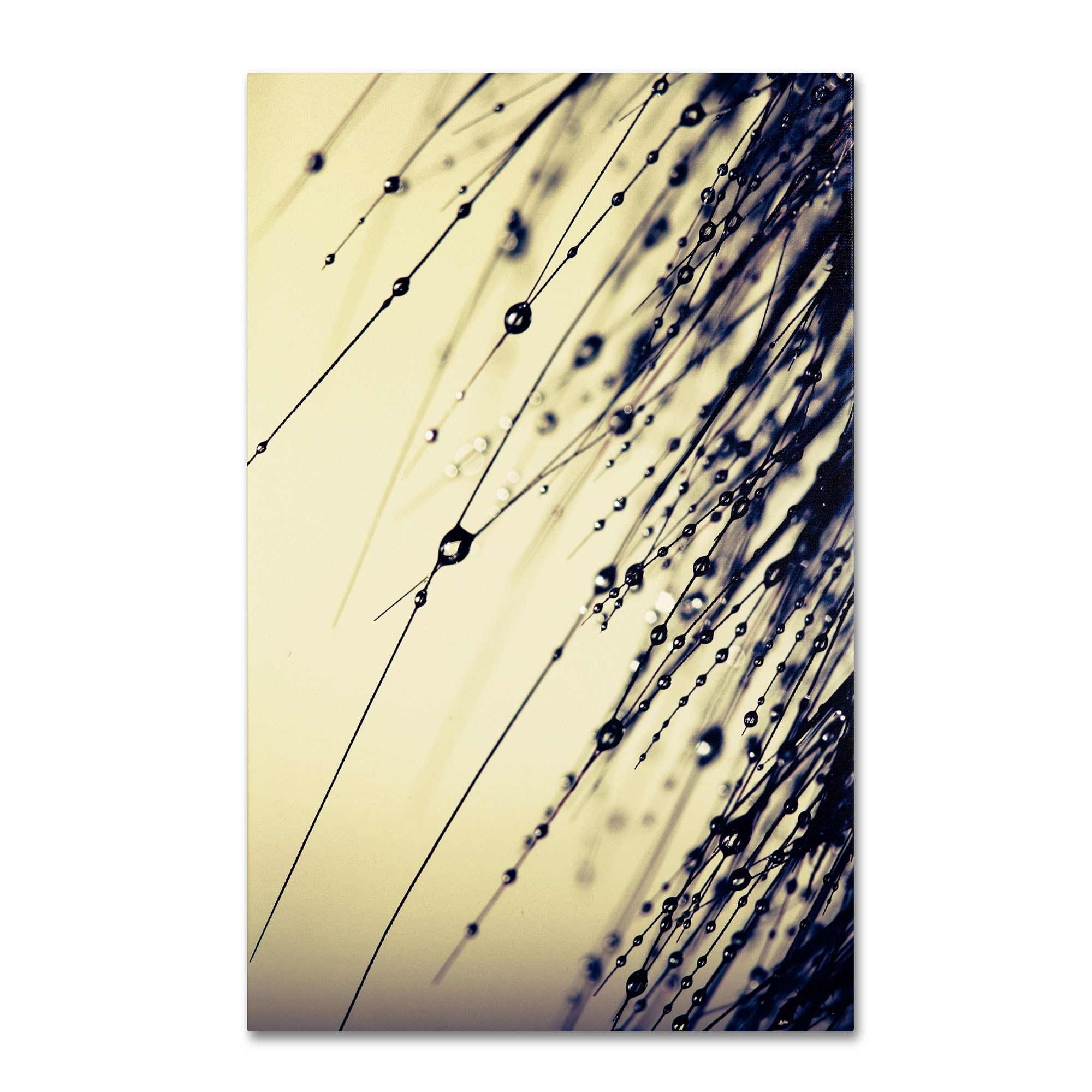 Trademark Global Beata Czyzowska Young ’Music of Yesterday’ Canvas Art Trademark Global Beata Czyzowska Young ’Music of Yesterday’ Canvas Art
