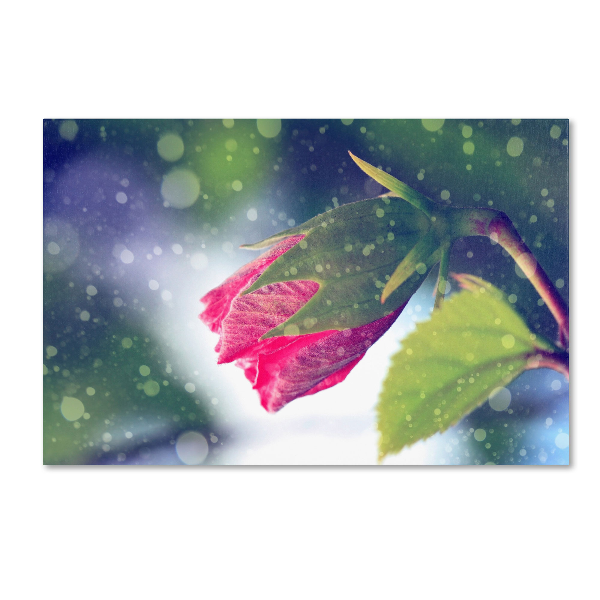 Trademark Global Beata Czyzowska Young ’Out of the Blue’ Canvas Art, Blue Trademark Global Beata Czyzowska Young ’Out of the Blue’ Canvas Art, Blue