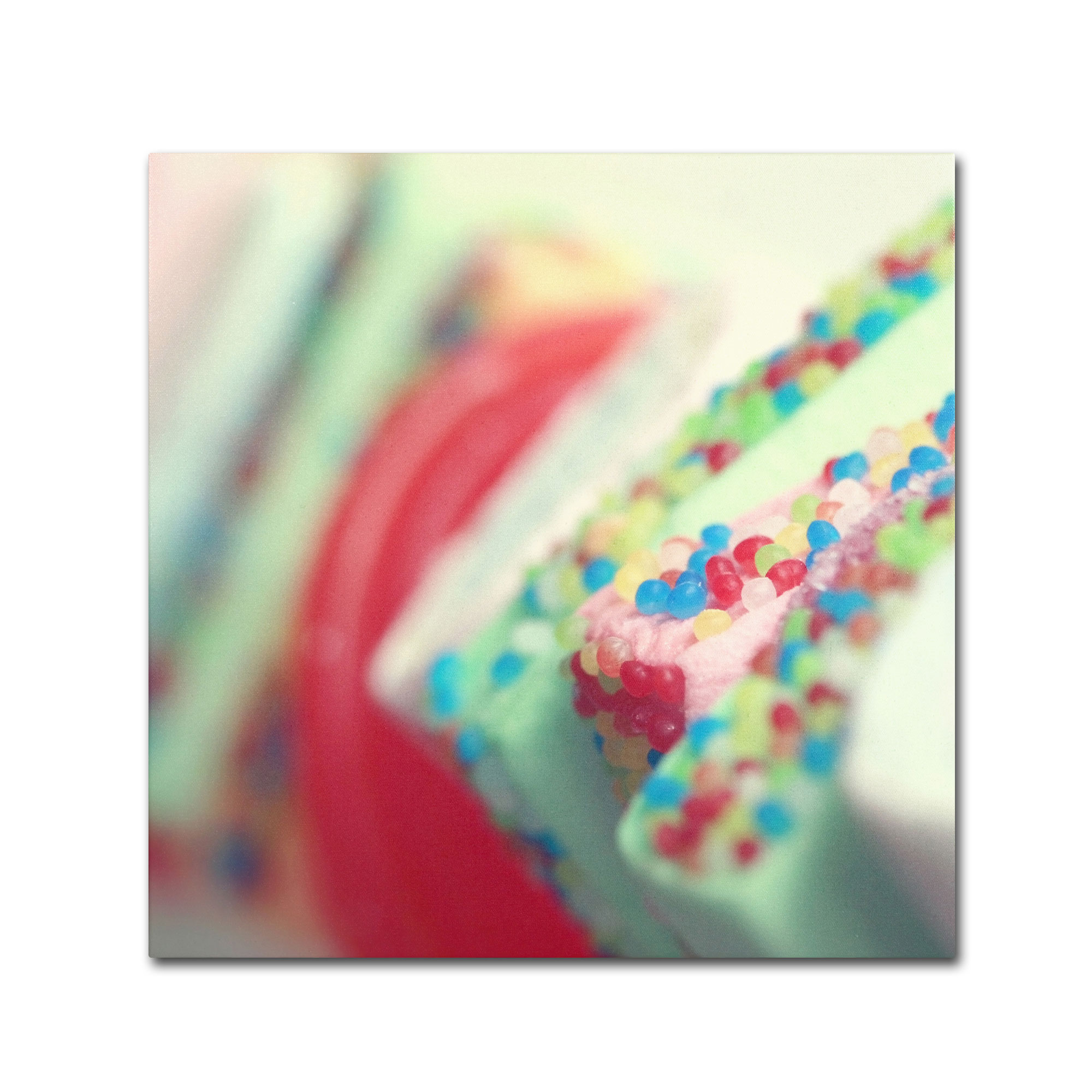 Trademark Global Beata Czyzowska Young ’Party Flavours’ Canvas Art Trademark Global Beata Czyzowska Young ’Party Flavours’ Canvas Art