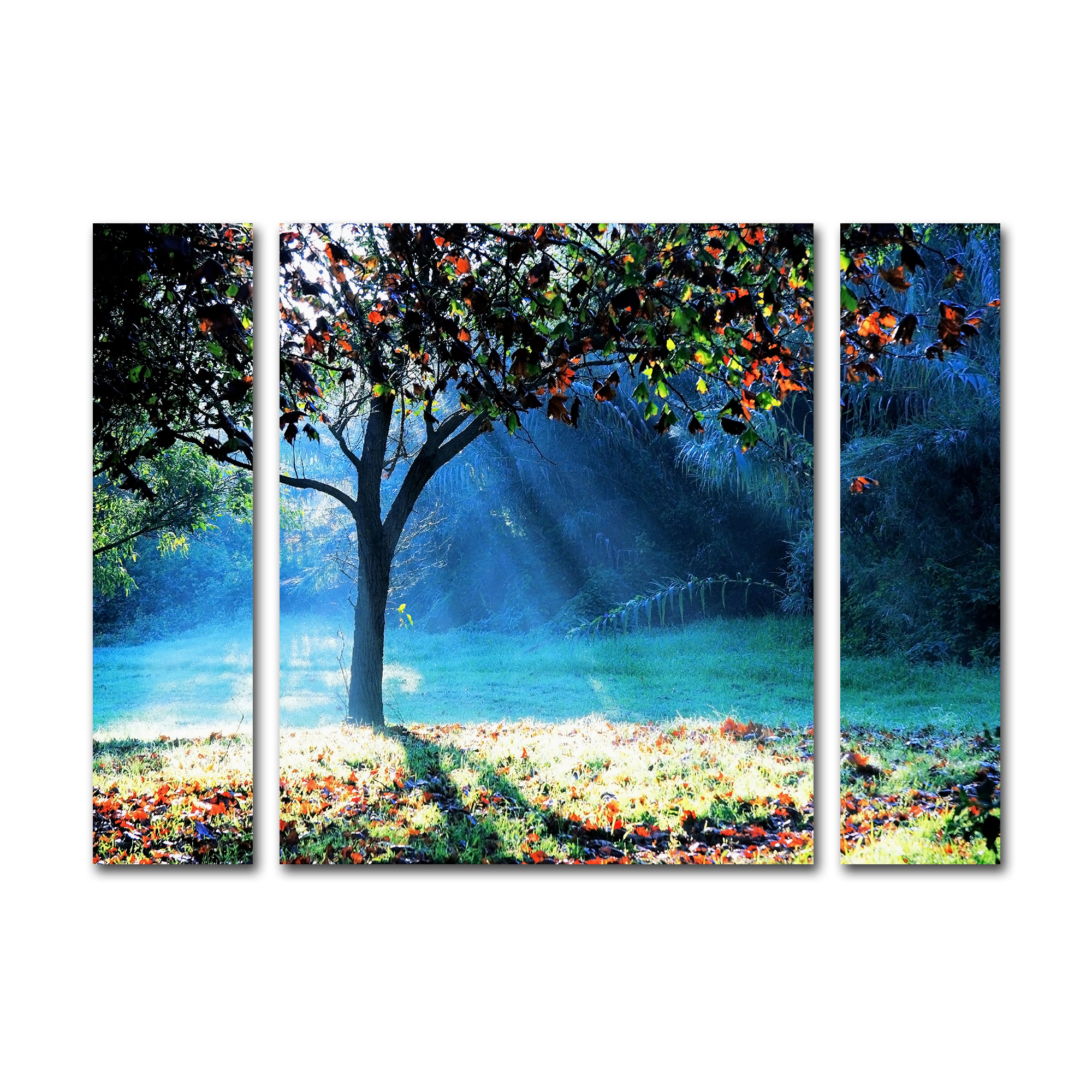 Trademark Global Beata Czyzowska Young ’Rays of Hope’ Multi Panel Art Set Large Trademark Global Beata Czyzowska Young ’Rays of Hope’ Multi Panel Art Set Large