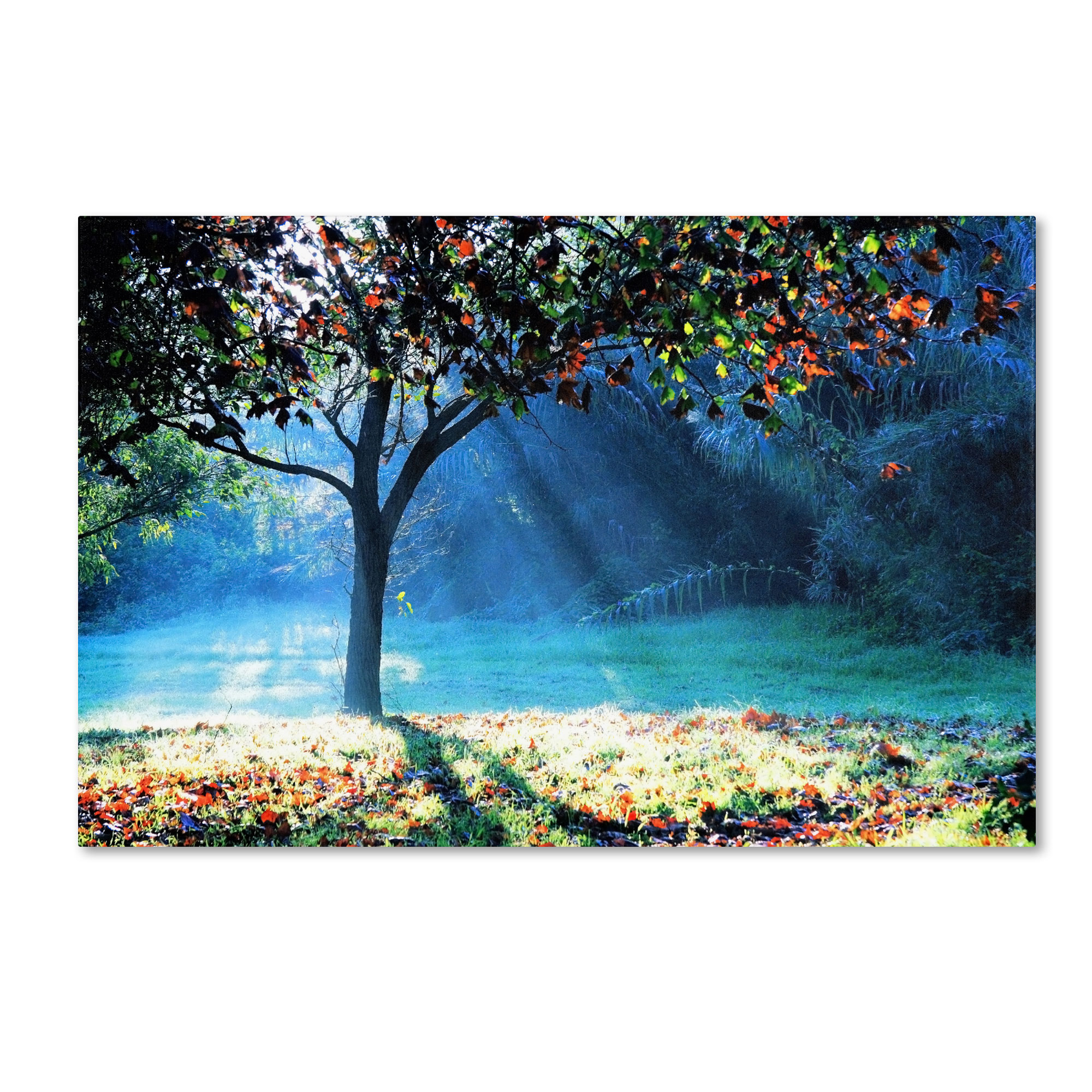 Trademark Global Beata Czyzowska Young ’Rays of Hope’ Canvas Art Trademark Global Beata Czyzowska Young ’Rays of Hope’ Canvas Art