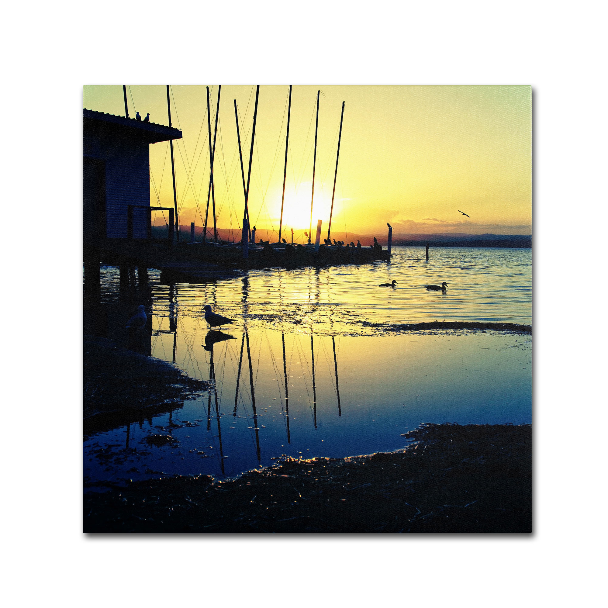 Trademark Global Beata Czyzowska Young ’Sunset Conversations’ Canvas Art Trademark Global Beata Czyzowska Young ’Sunset Conversations’ Canvas Art