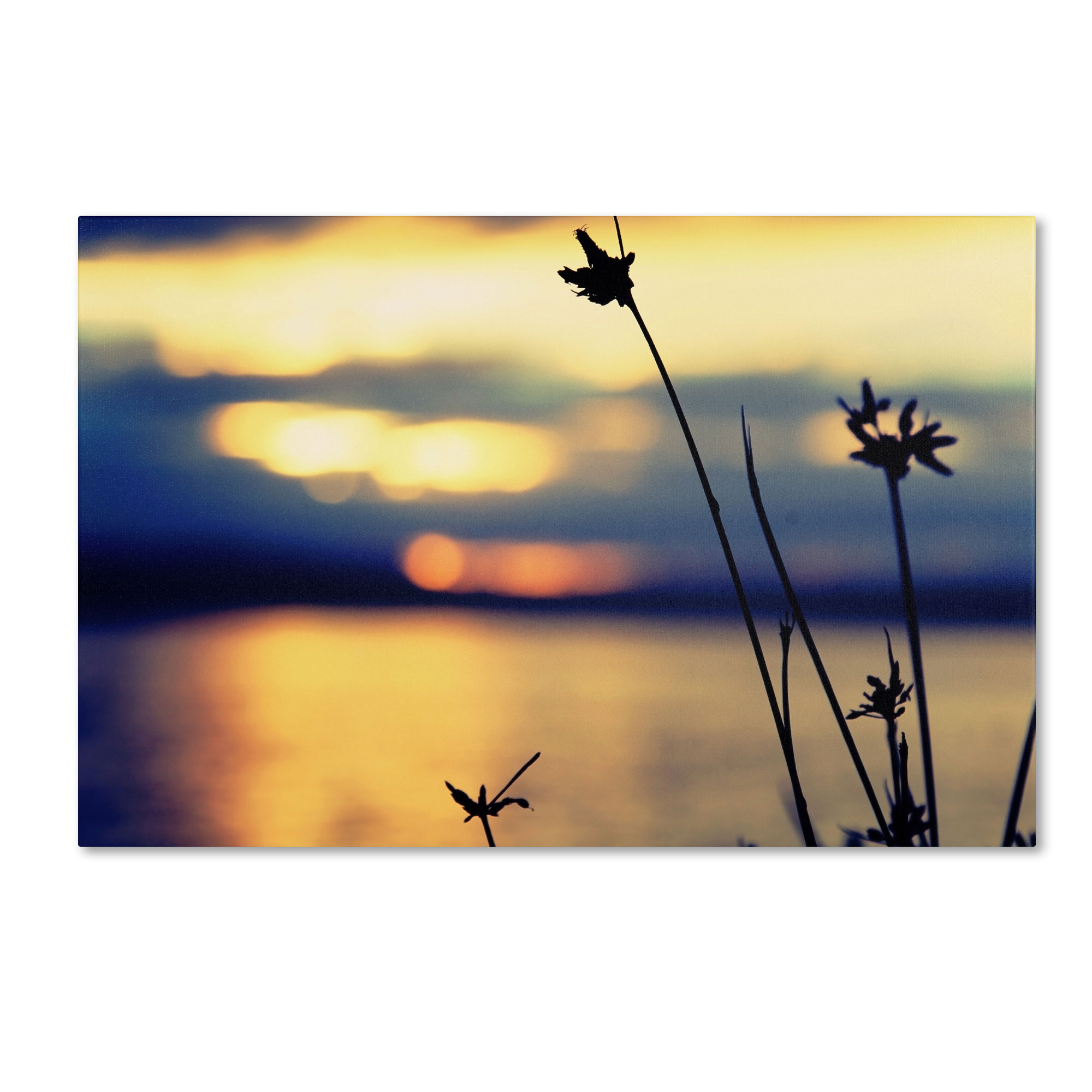 Trademark Global Beata Czyzowska Young ’Sunset Thoughts’ Canvas Art Trademark Global Beata Czyzowska Young ’Sunset Thoughts’ Canvas Art