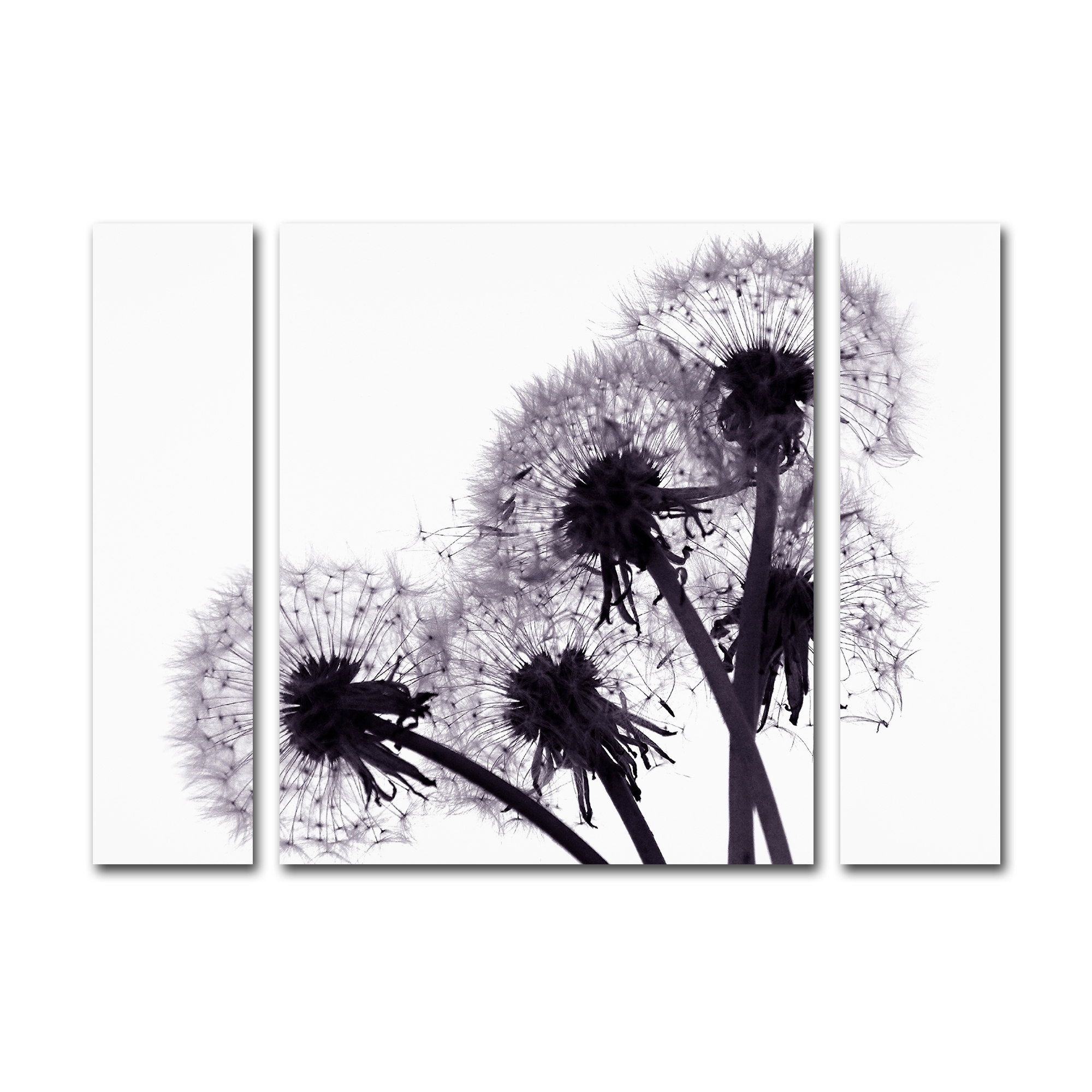 Trademark Global Beata Czyzowska Young ’Bunch of Wishes’ Multi Panel Art Set Large Trademark Global Beata Czyzowska Young ’Bunch of Wishes’ Multi Panel Art Set Large