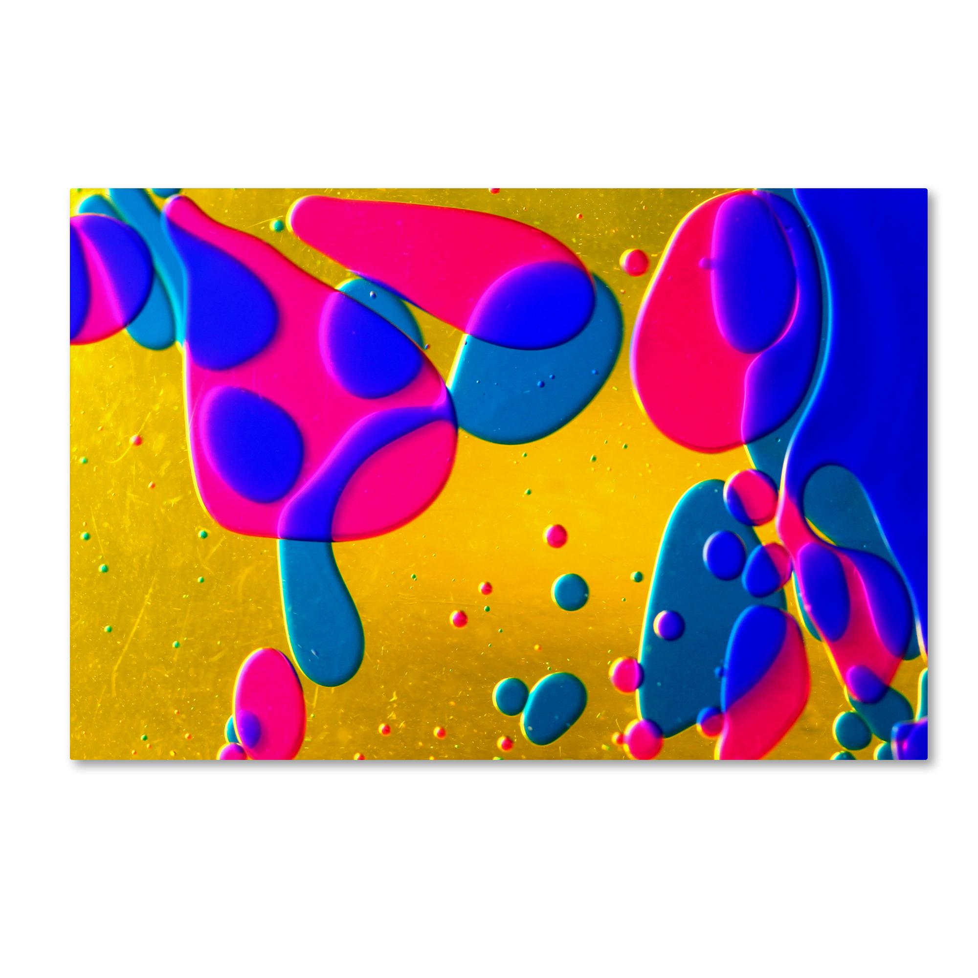 Trademark Global Beata Czyzowska Young ’Colour Fun I’ Canvas Art Trademark Global Beata Czyzowska Young ’Colour Fun I’ Canvas Art
