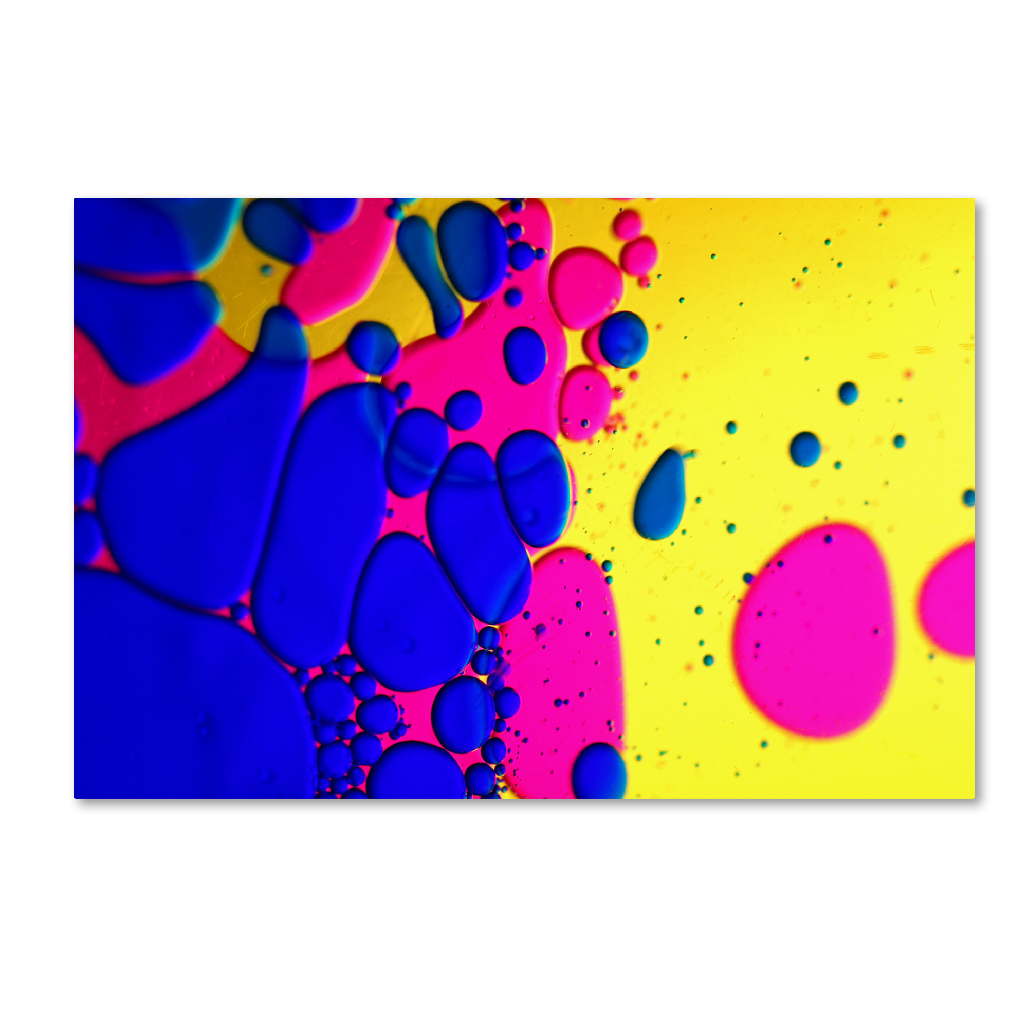 Trademark Global Beata Czyzowska Young ’Colour Fun IV’ Canvas Art Trademark Global Beata Czyzowska Young ’Colour Fun IV’ Canvas Art