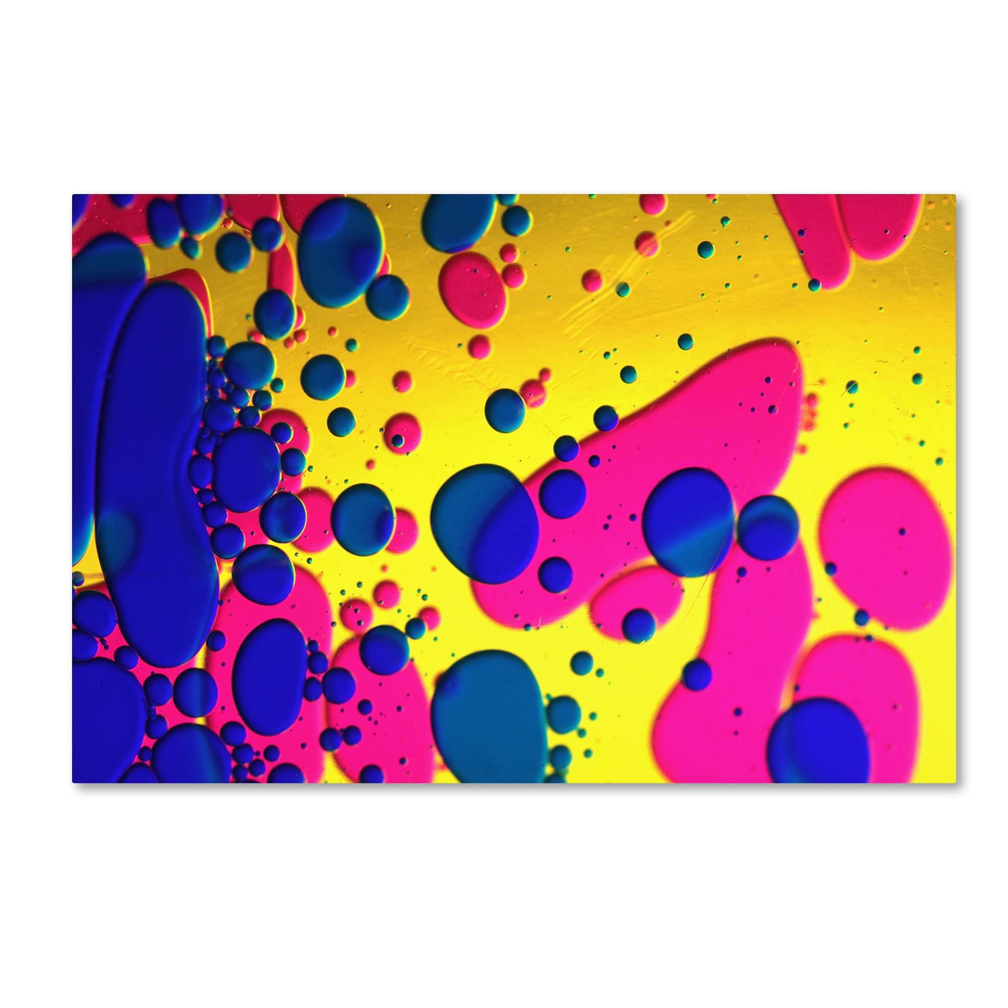 Trademark Global Beata Czyzowska Young ’Colour Fun V’ Canvas Art Trademark Global Beata Czyzowska Young ’Colour Fun V’ Canvas Art
