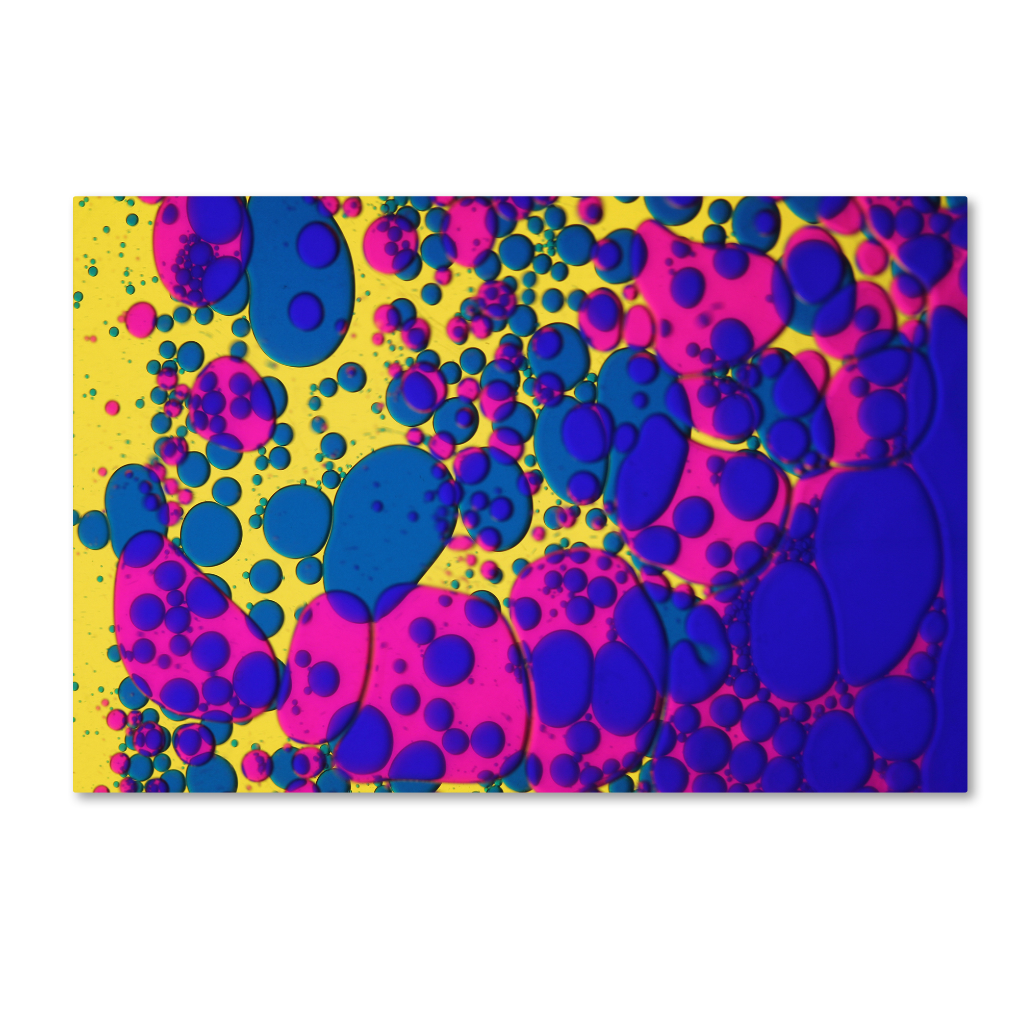 Trademark Global Beata Czyzowska Young ’Colour Fun VI’ Canvas Art Trademark Global Beata Czyzowska Young ’Colour Fun VI’ Canvas Art