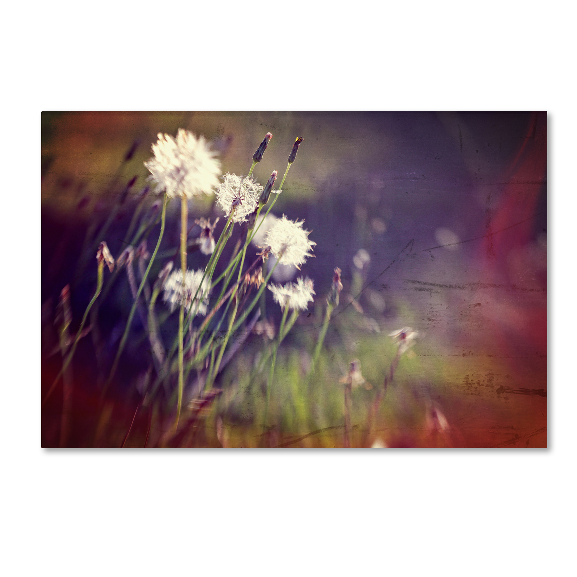 Trademark Global Beata Czyzowska Young ’Family Reunion’ Canvas Art Trademark Global Beata Czyzowska Young ’Family Reunion’ Canvas Art