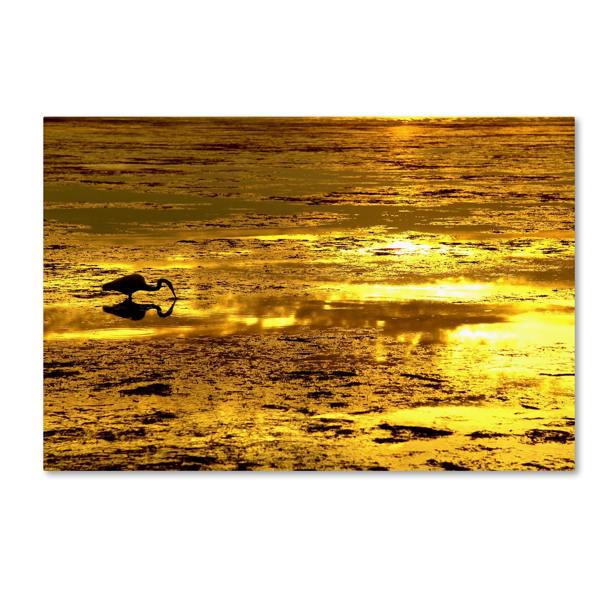 Trademark Global Beata Czyzowska Young ’Gold Digger’ Canvas Art Trademark Global Beata Czyzowska Young ’Gold Digger’ Canvas Art