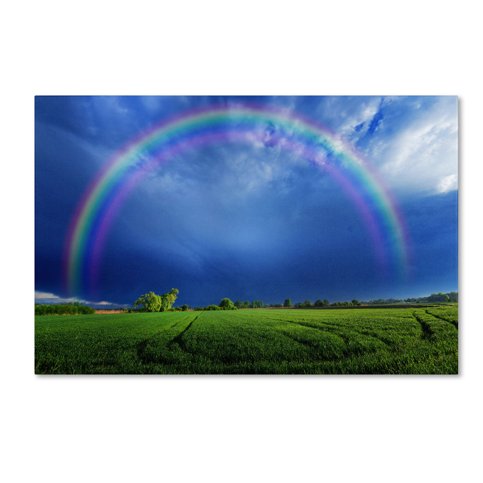 Black Matte with Black Frame Trademark Fine Art Lucky Rainbow Framed Art by Philippe Sainte-Laudy 16 by 20-Inch