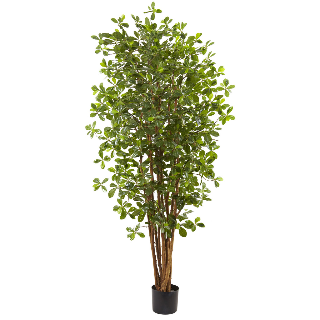 Nearly Natural 6&#8217; Black Olive Silk Tree