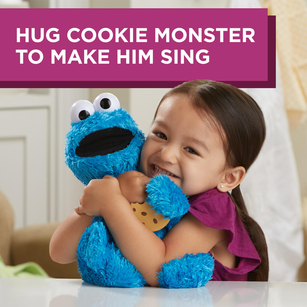 Playskool Friends Sesame Street Feed Me Cookie Monster