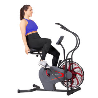 body rider upright fan bike