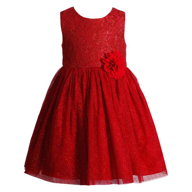 Youngland Infant & Toddler Girl's Lace Occasion Dress