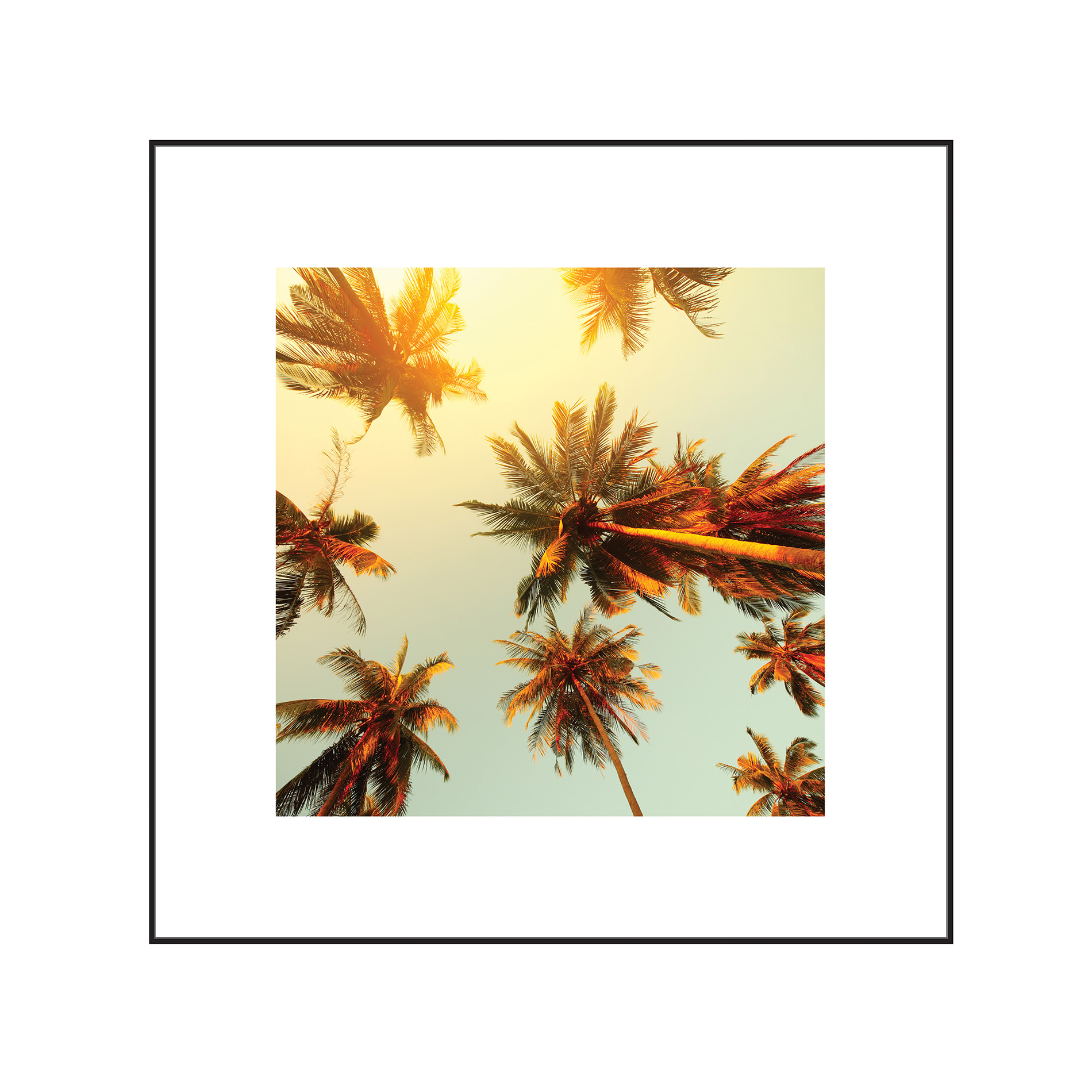 15” x 15” Mixed Art - Palm Trees 15” x 15” Mixed Art - Palm Trees