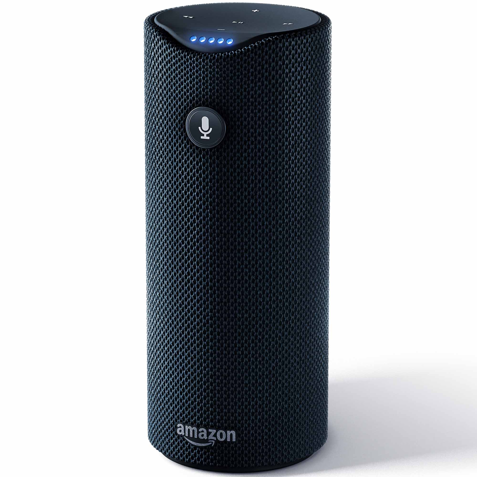 portable alexa