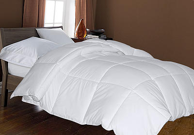 Down Comforters Featherbed Toppers Kmart