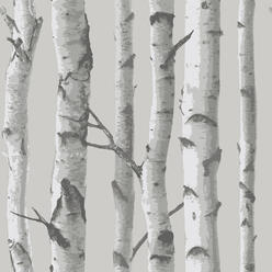 NuWallpaper NU1694 Mountain Birch Grey Peel & Stick Wallpaper