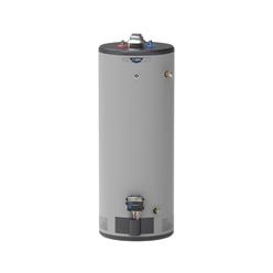 GE Appliances GP50T12BXR RealMAX&#174; Platinum 50-Gallon Tall Liquid Propane Atmospheric Water Heater