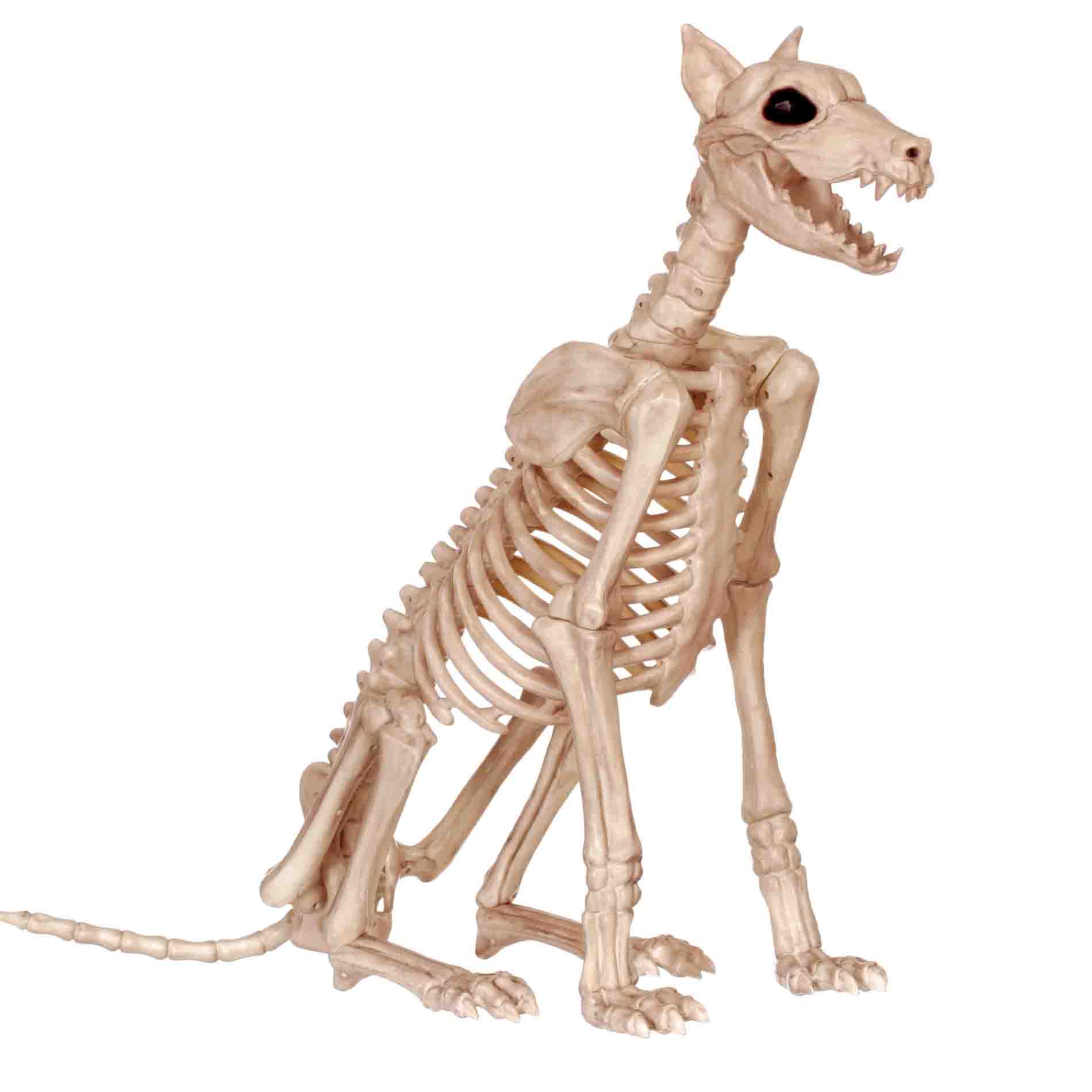 Totally Ghoul Large Sitting Skeleton Dog