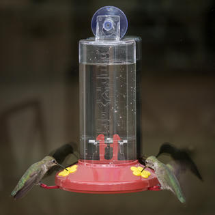 Perky Pet Window Mount Hummingbird Feeder