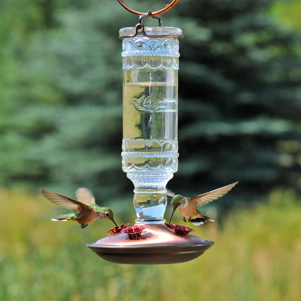 Perky-Pet Clear Antique Bottle Hummingbird Feeder