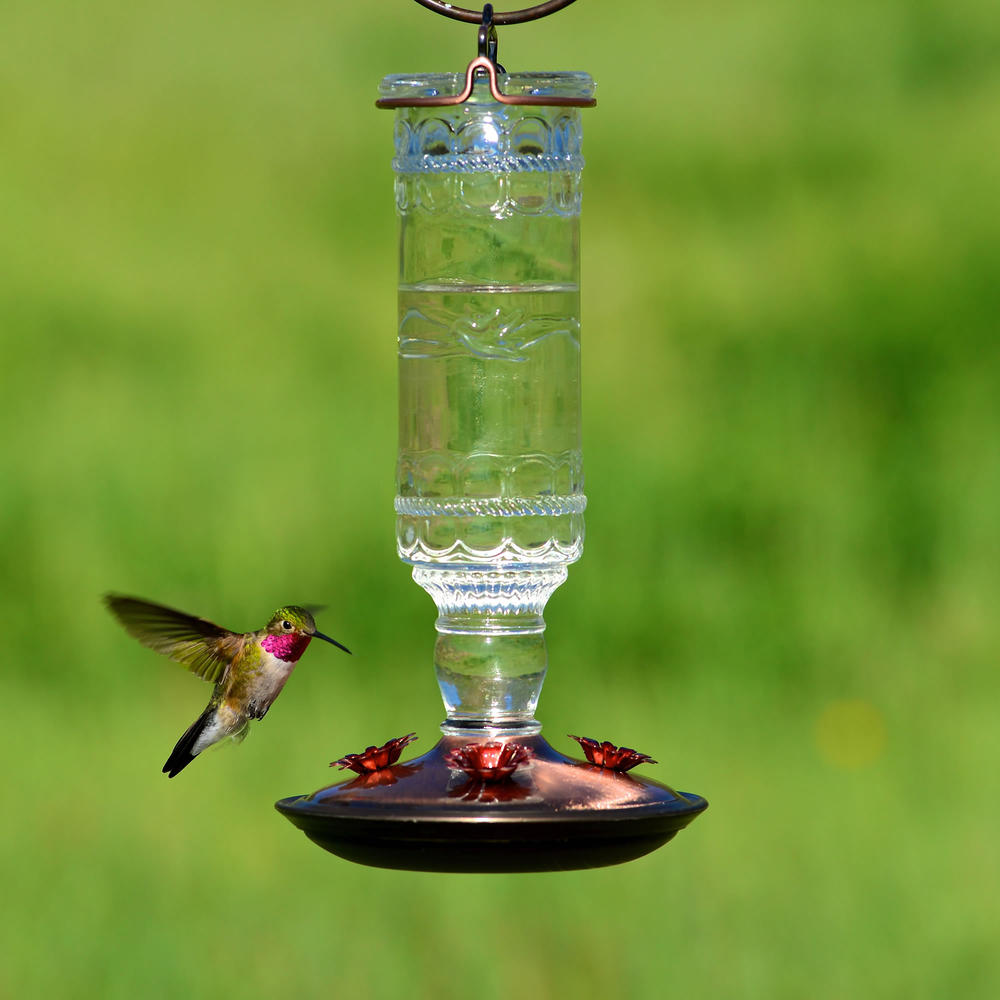 Perky-Pet Clear Antique Bottle Hummingbird Feeder