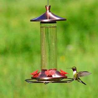 Perky Pet Elegant Copper Glass Hummingbird Feeder With Free Nectar