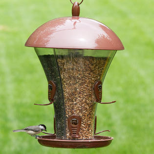 Perky Pet Easy Fill Deluxe Feeder