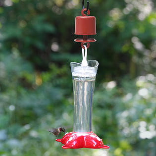 Perky Pet Ant Guard