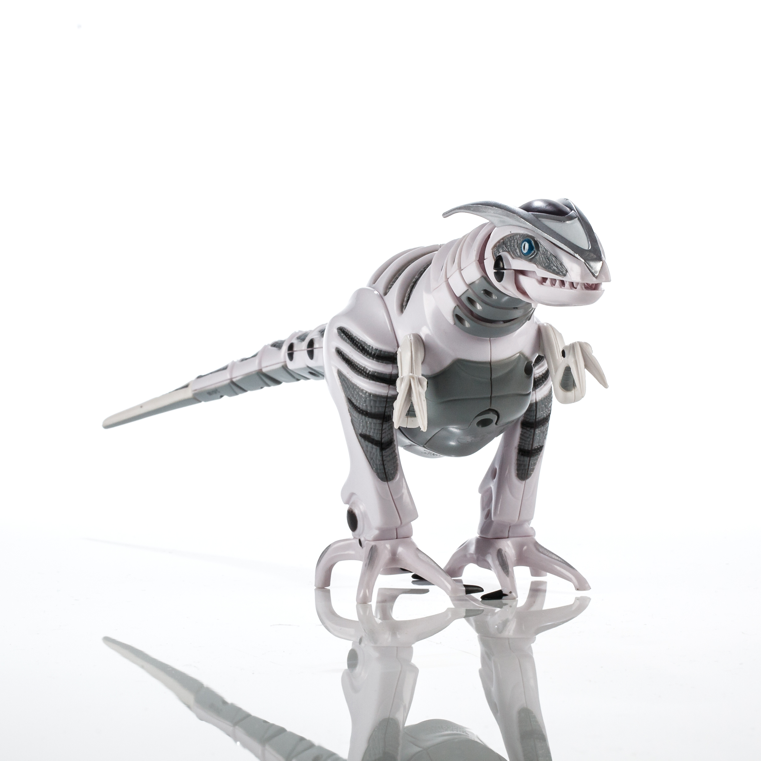 roboraptor kmart
