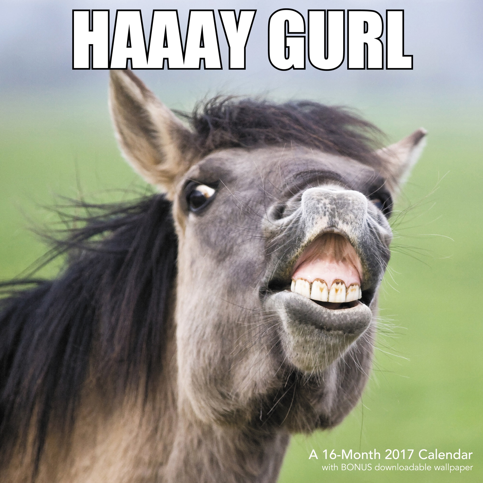 Mead Khe3101017 I Regret Nothing Animal Memes