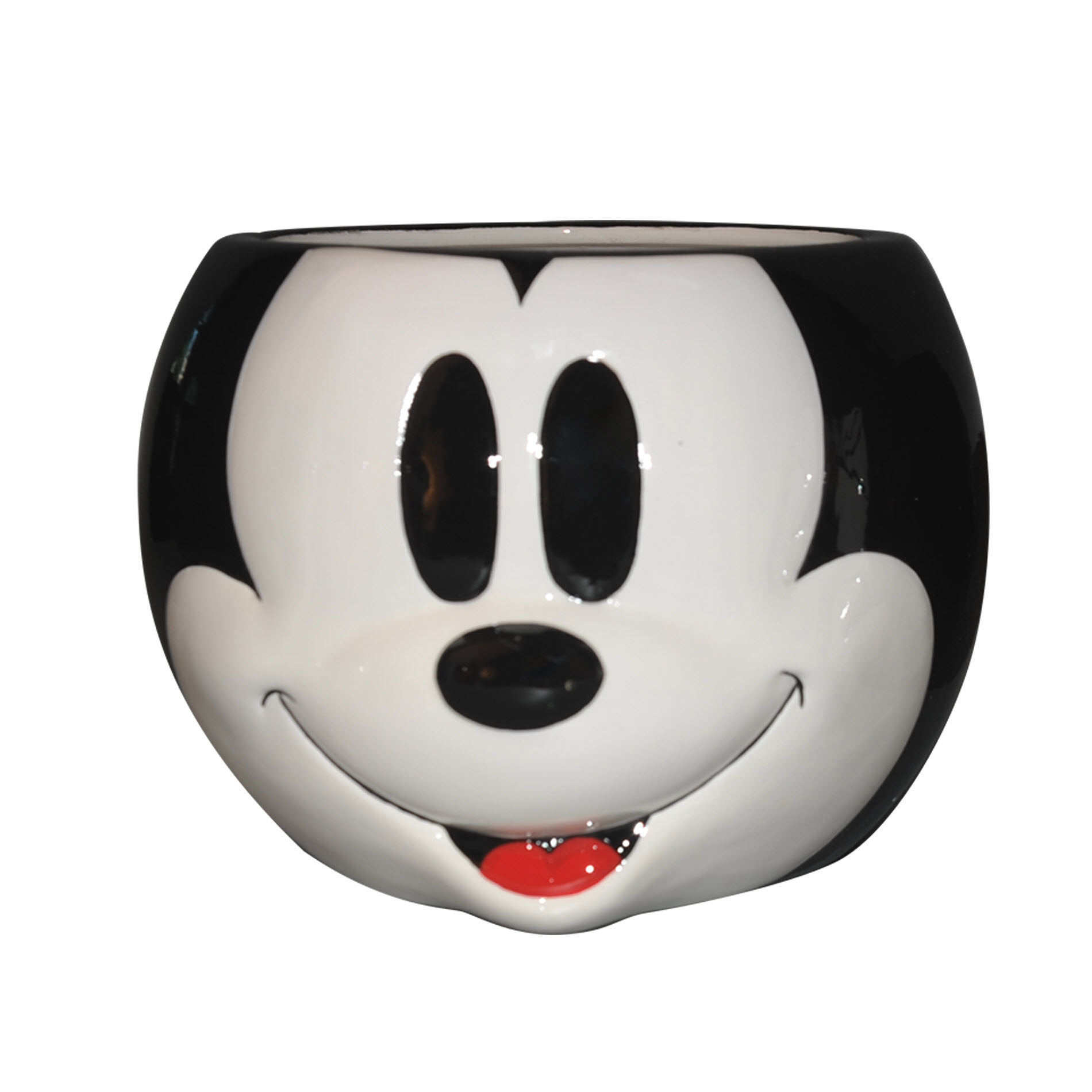 Disney Outdoor Decor Sears