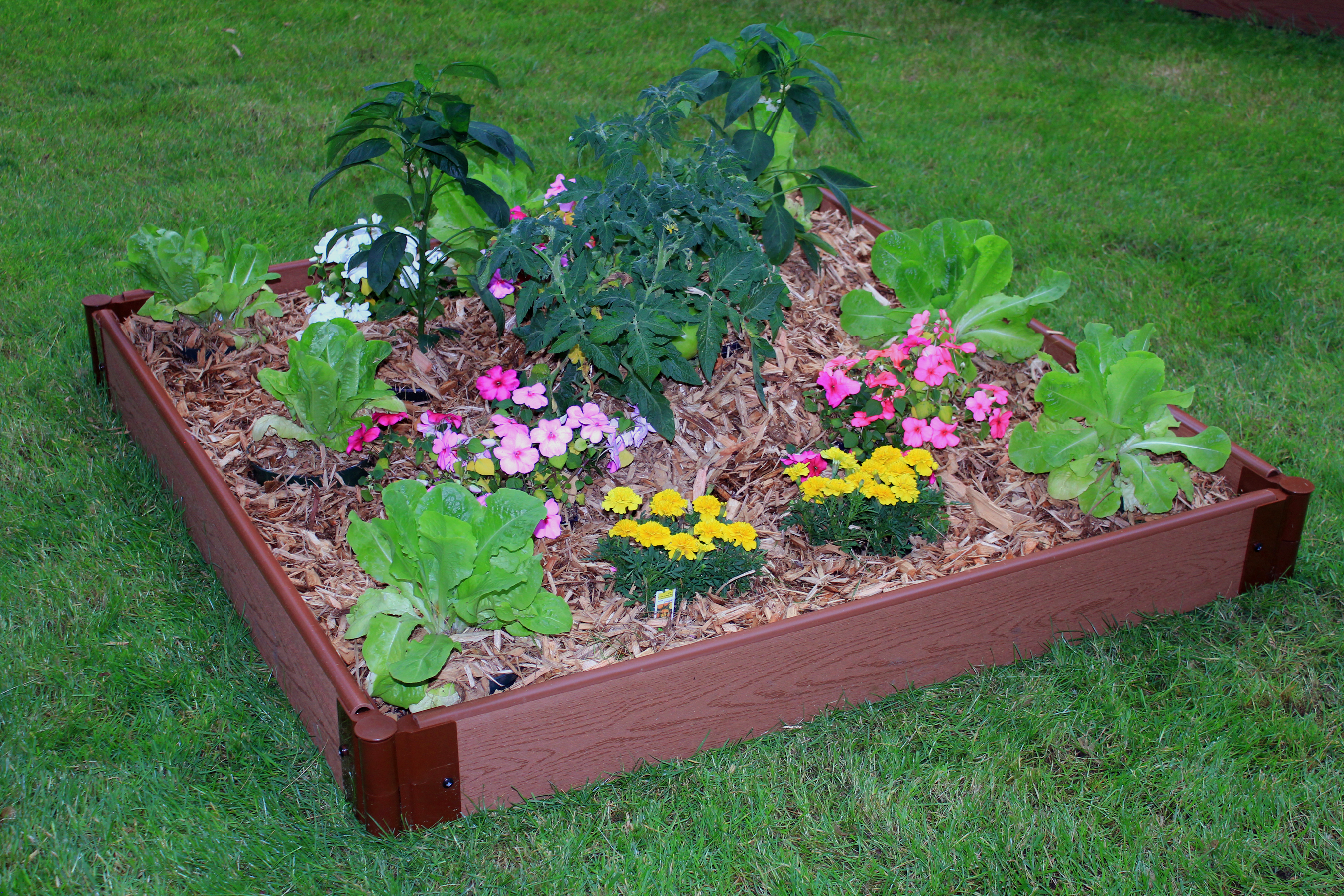 Frame It All 300001058 One Inch Series 4ft. x 4ft. x  5.5in. Composite Raised Garden Bed Kit