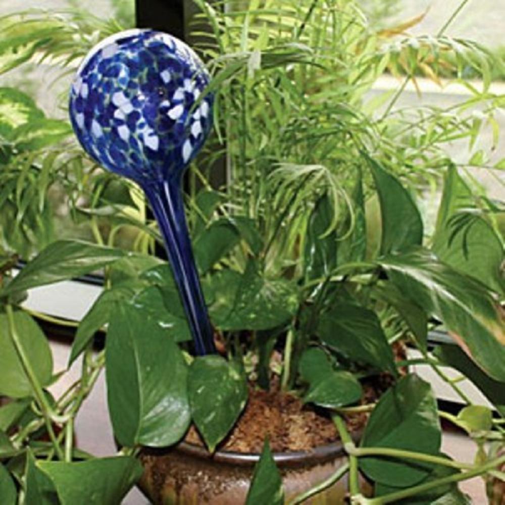 Aqua Globes Glass Plant Watering Bulbs 2 pack