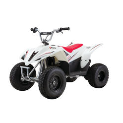 Razor&trade; Razor Dirt Quad 500 - 36V Electric 4-Wheeler ATV for Teens and Adults Up to 220 lbs