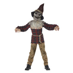 Size L Boys Halloween Costumes With Free Shipping - Kmart